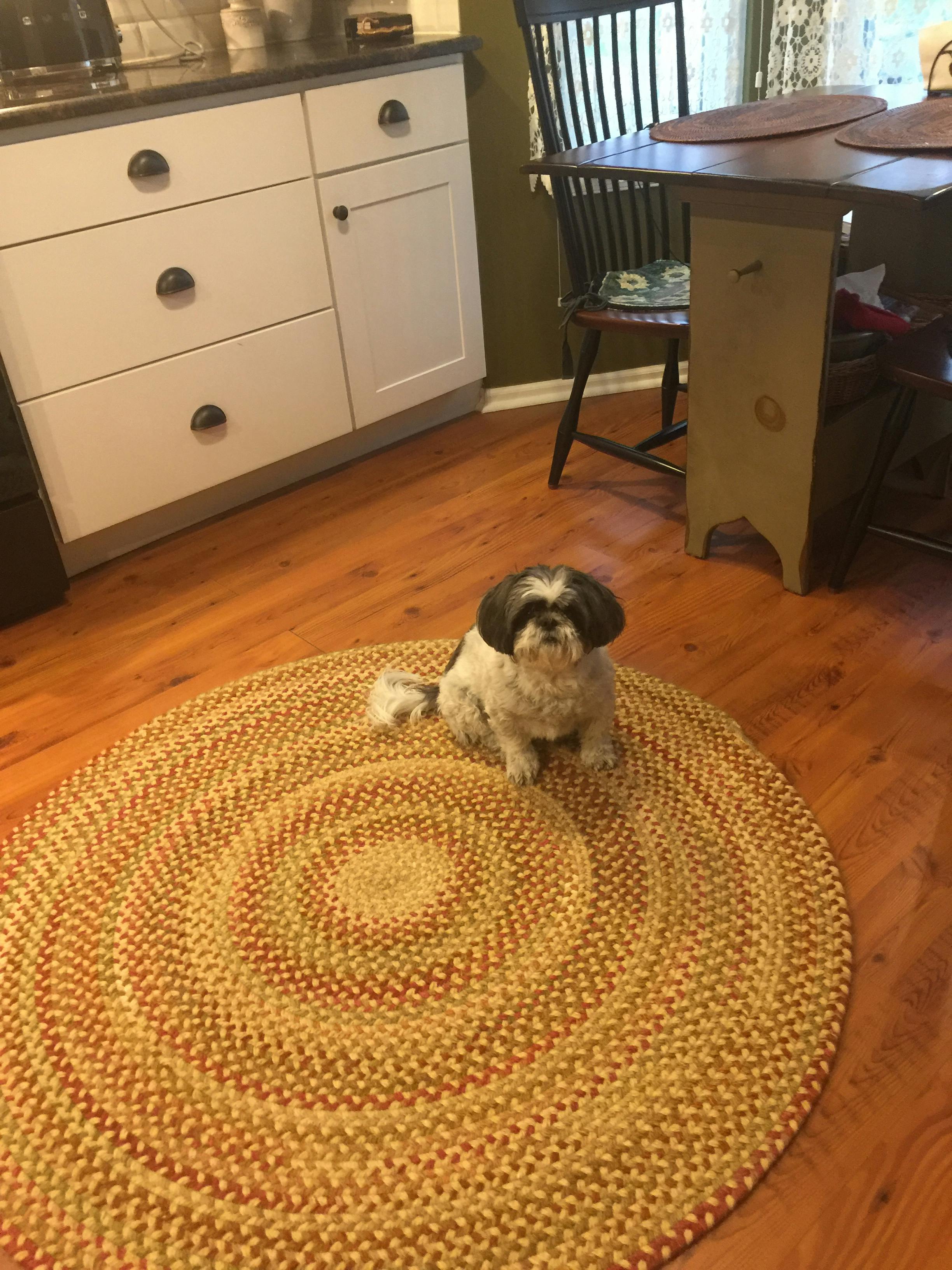 Capel Manchester 0048 Gold Hues 100 Area Rug Incredible Rugs and Decor